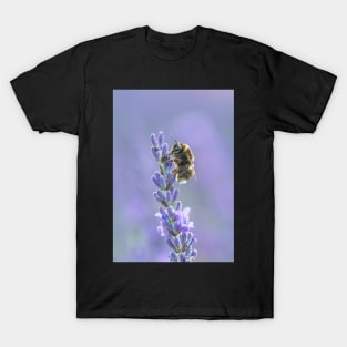 Bumblebee on Lavender Flower with Purple Background T-Shirt